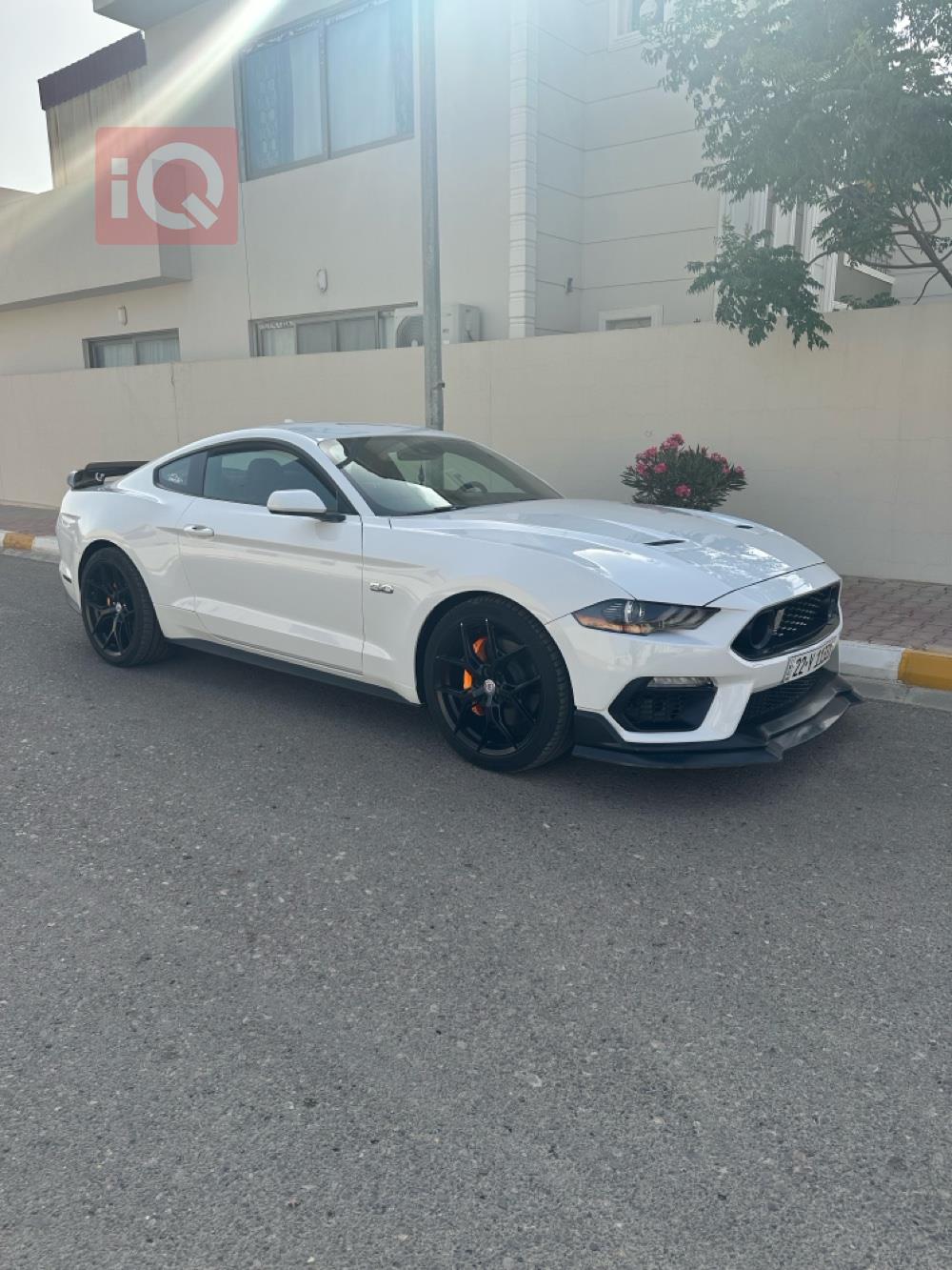 فورد موستانج